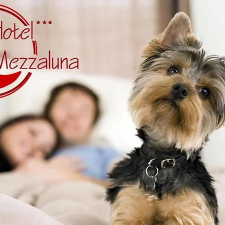 Hotel Mezzaluna Treviso