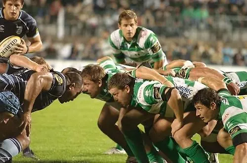 酒店 梅萨露娜酒店 特雷维索