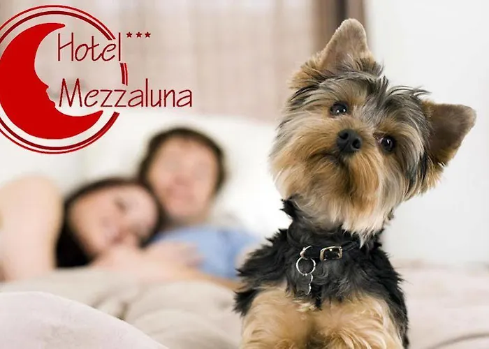 酒店 梅萨露娜酒店 特雷维索